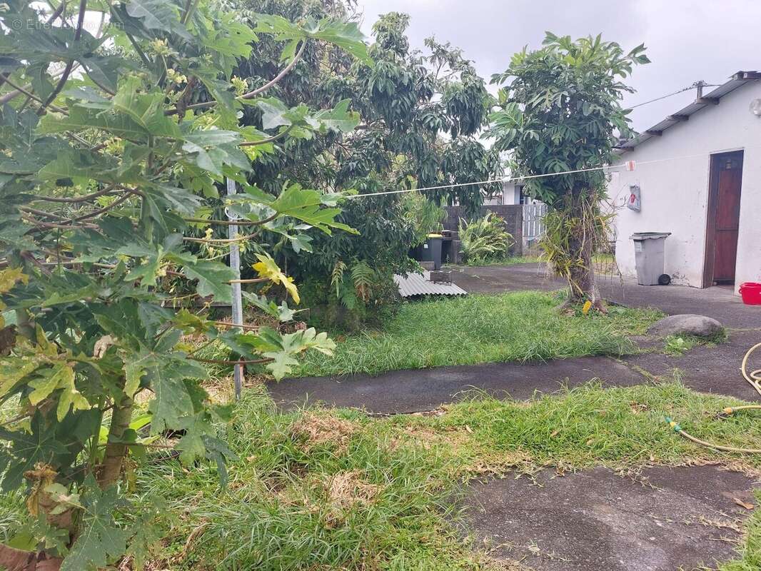 Terrain à SAINT-ANDRE