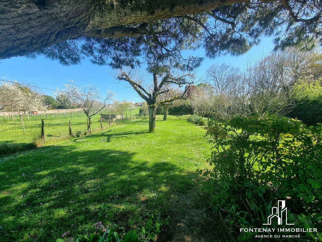 Maison à FONTENAY-LE-COMTE