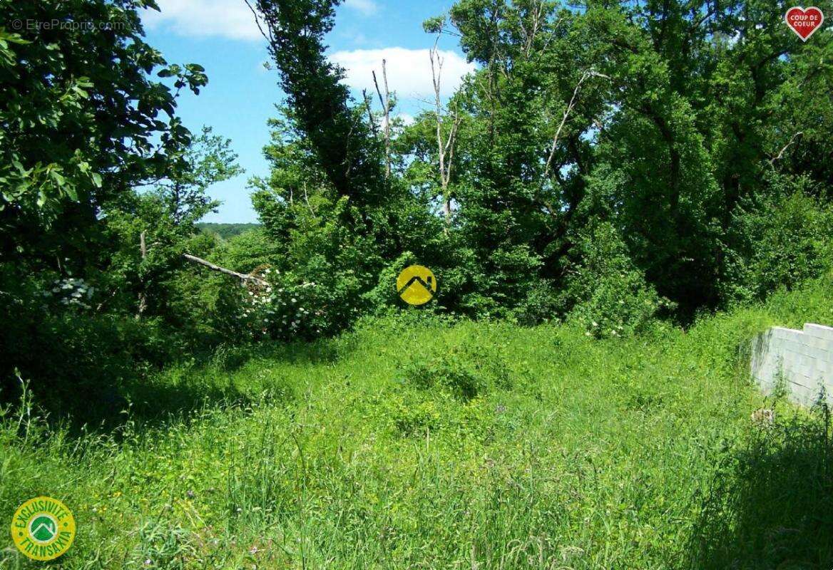 Maison à SAINT-FLORENT-SUR-CHER