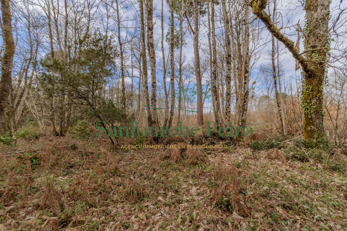 Terrain à CARSAC-AILLAC