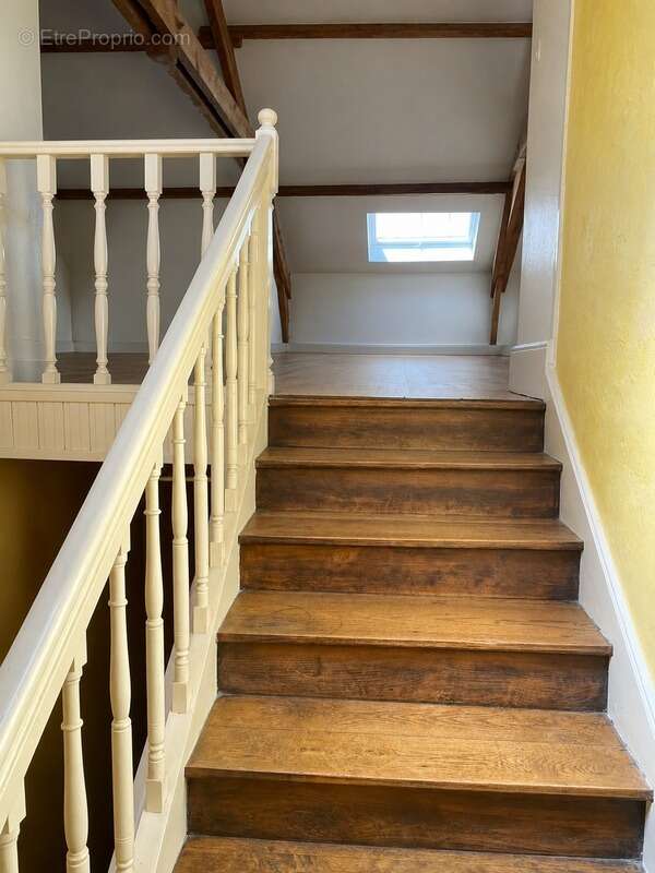 Grand appartement familial de 206 m2 au sol - Avenue Garibaldi, Limoges - photo 9
