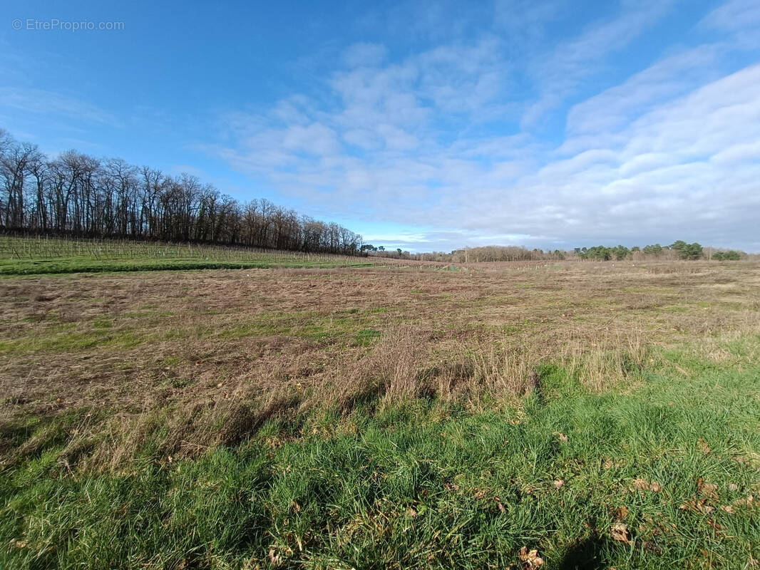 Terrain à SAINT-MAIGRIN