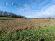 Terrain à SAINT-MAIGRIN