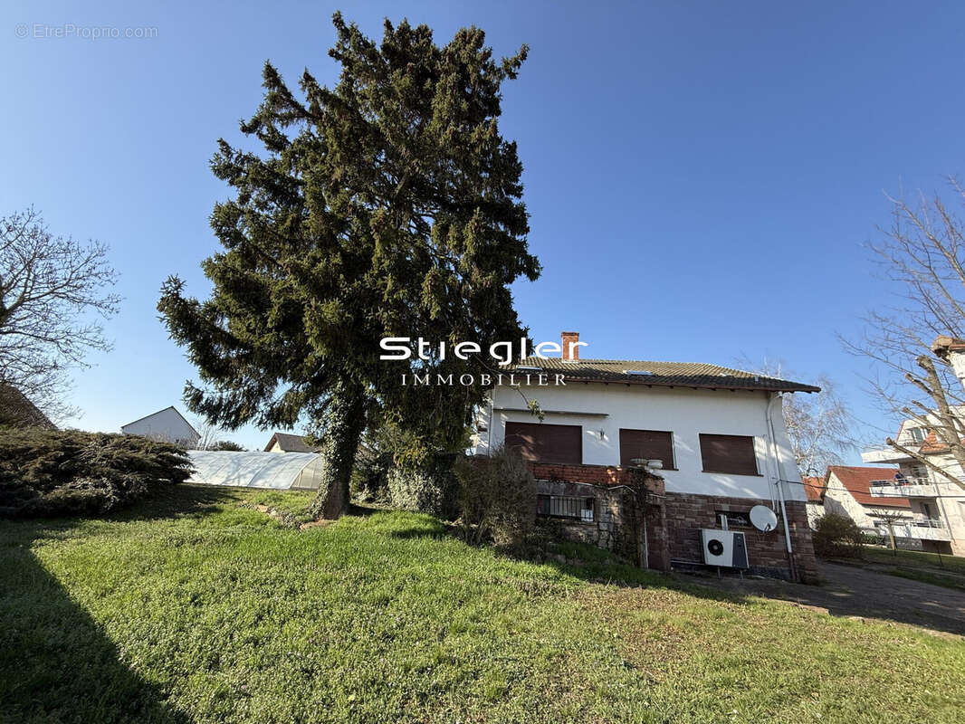 Vue extér - Maison à DUPPIGHEIM