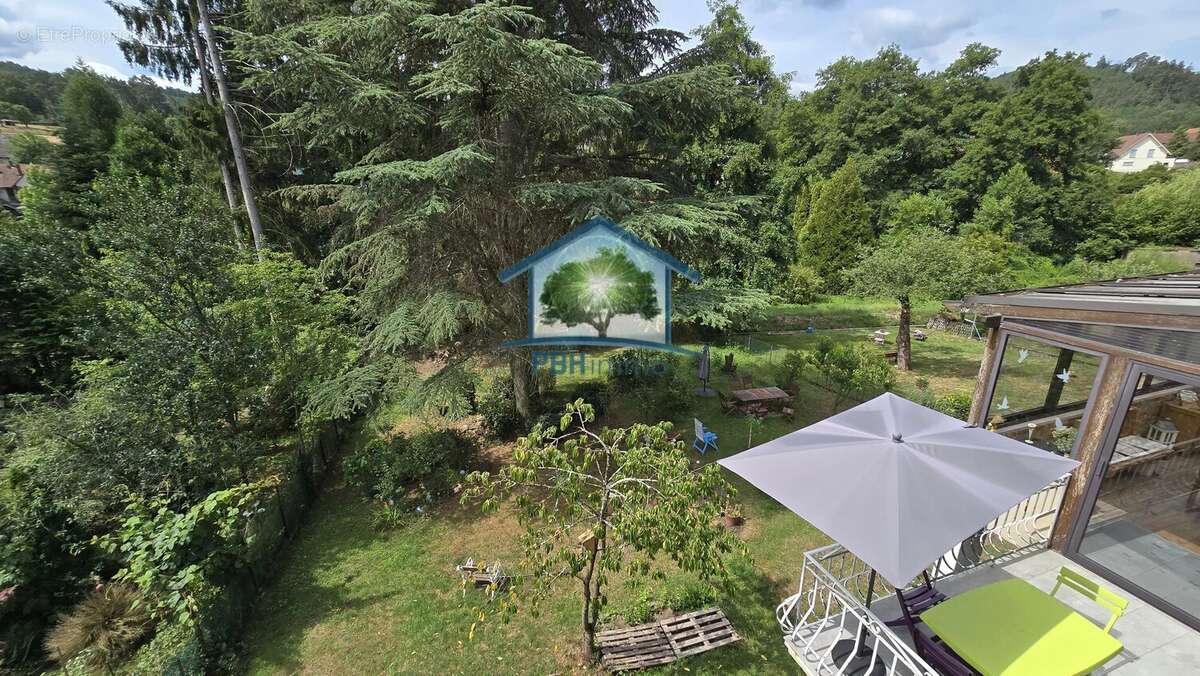 Baerenthal (57) - maison 8 pieces sur 8,74 ares - photo 3