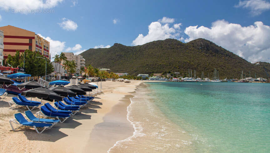 Terrain à SAINT-MARTIN