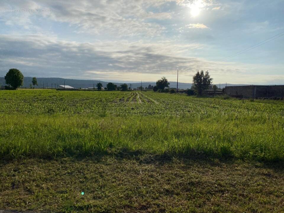 Terrain à BOEIL-BEZING