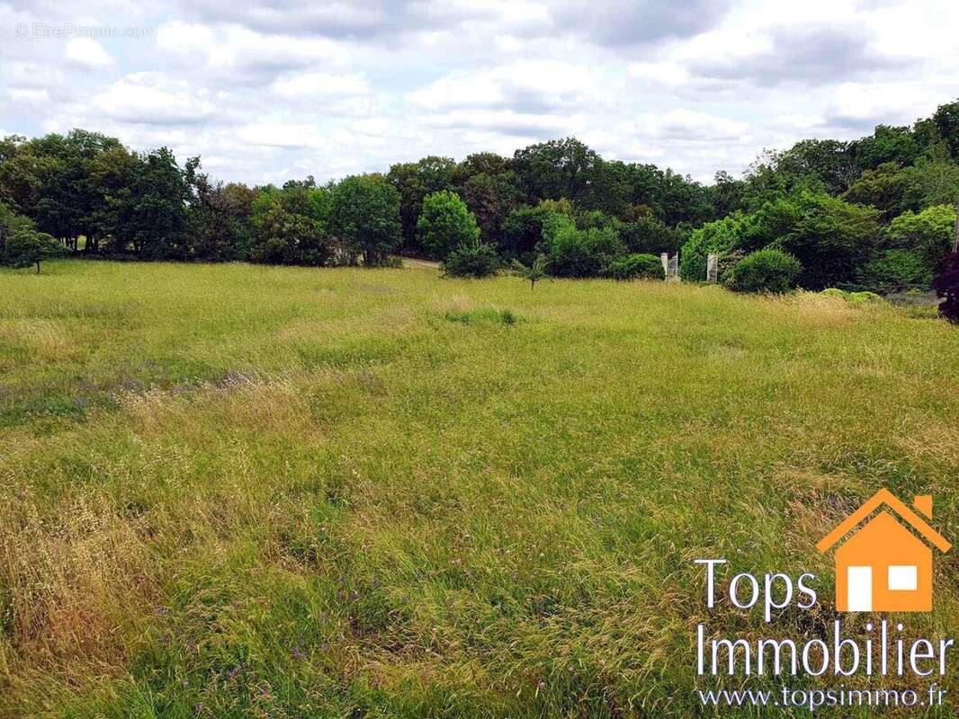 Maison à SAINT-ANTONIN-NOBLE-VAL