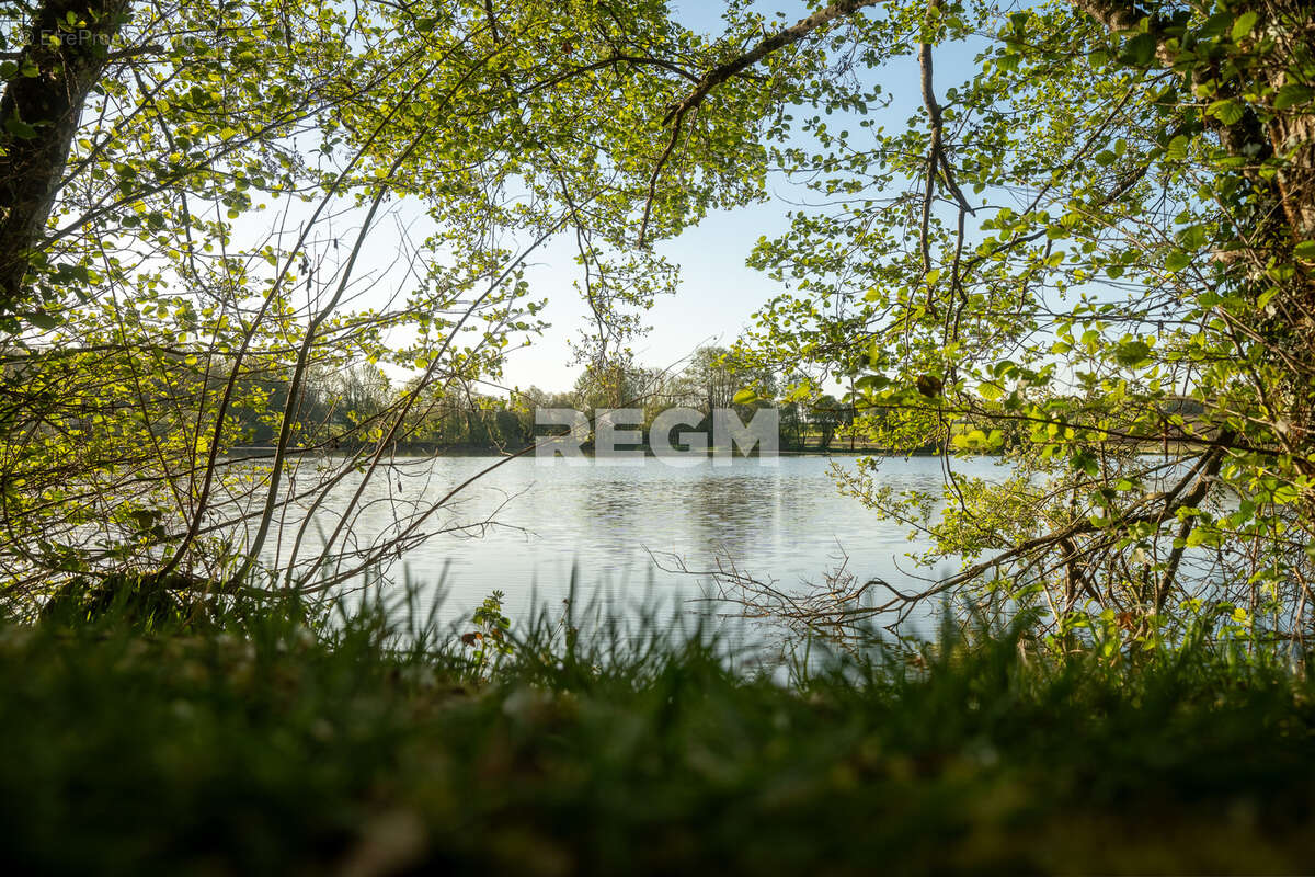 Domaine d’exception de 54,5 hectares avec maison de 300 m2, étang privé, piscine et 1 500 m2 de dépendances - photo 22