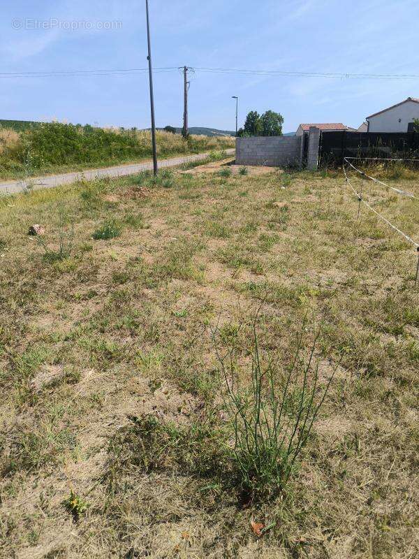 Terrain À Vendre 746 M2 PLAT - photo 4