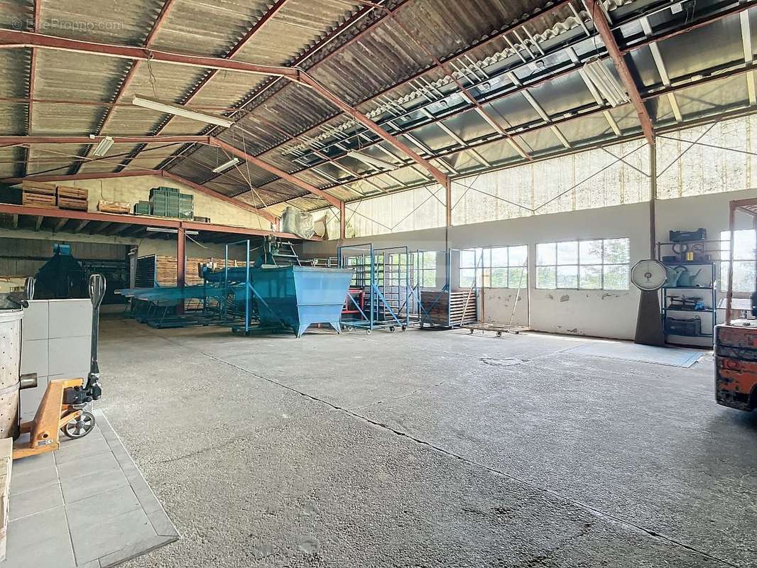 Commerce à MONTAUBAN