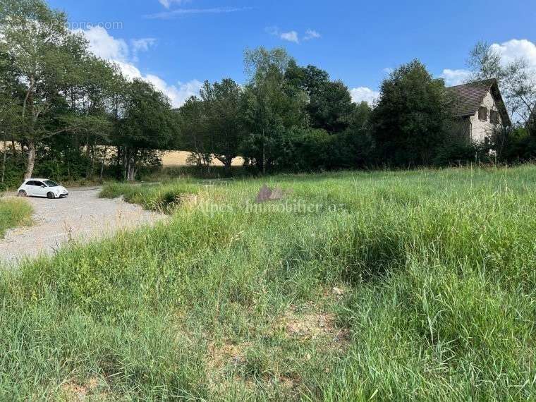 Terrain à FOREST-SAINT-JULIEN
