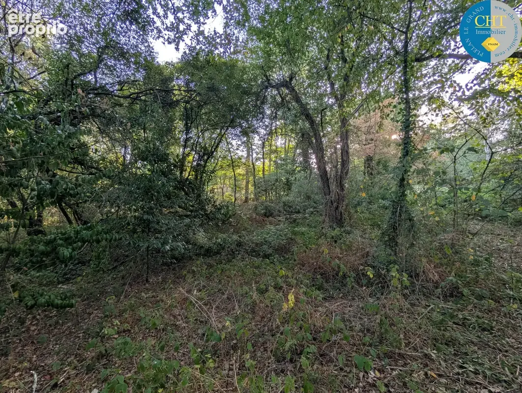 Magnifique terrain boisé de 9 420 m2 à guer - bellevue (56380) avec cht immobilier - photo 4