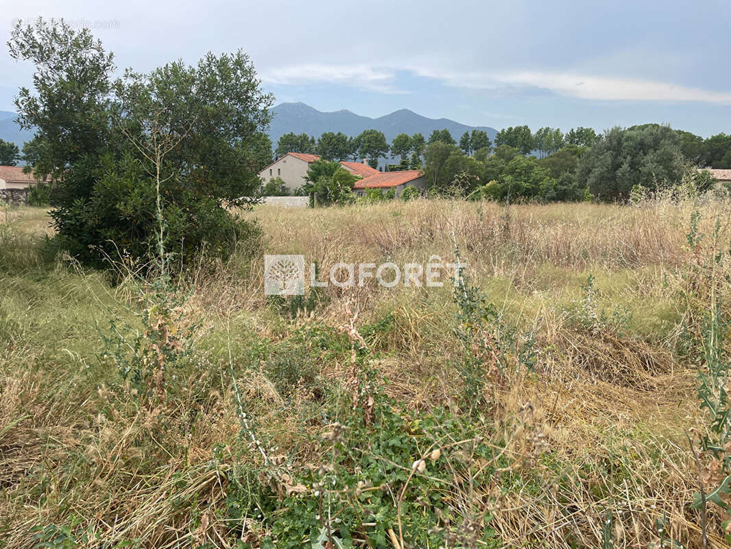 Terrain à MONTESQUIEU-DES-ALBERES