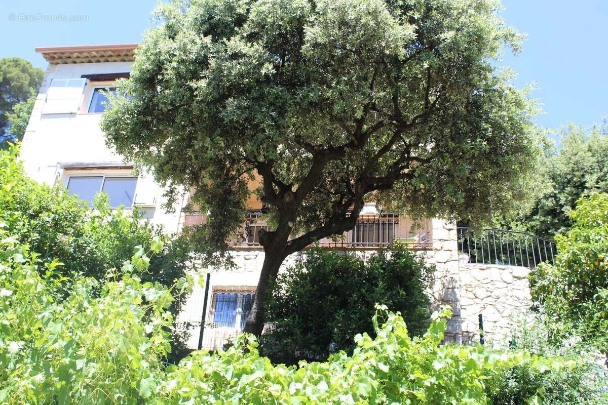 GRASSE, Belle Villa 5 P, position dominante - photo 2