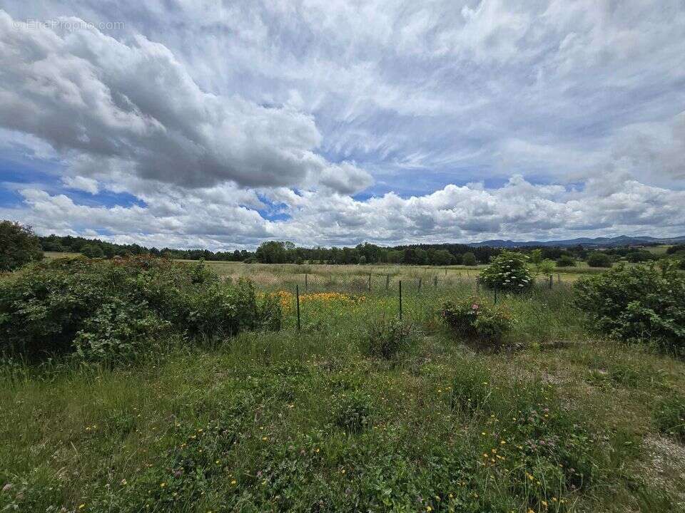 Grande propriété avec dépendances, terrain, garage proche de - photo 14