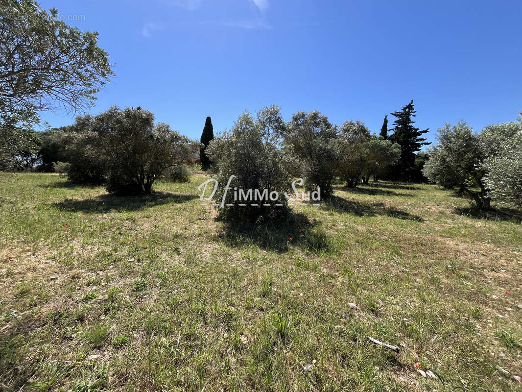 Maison T4 - 4 faces sur terrain exceptionnel de 4 400 m2 à Narbonne - photo 3