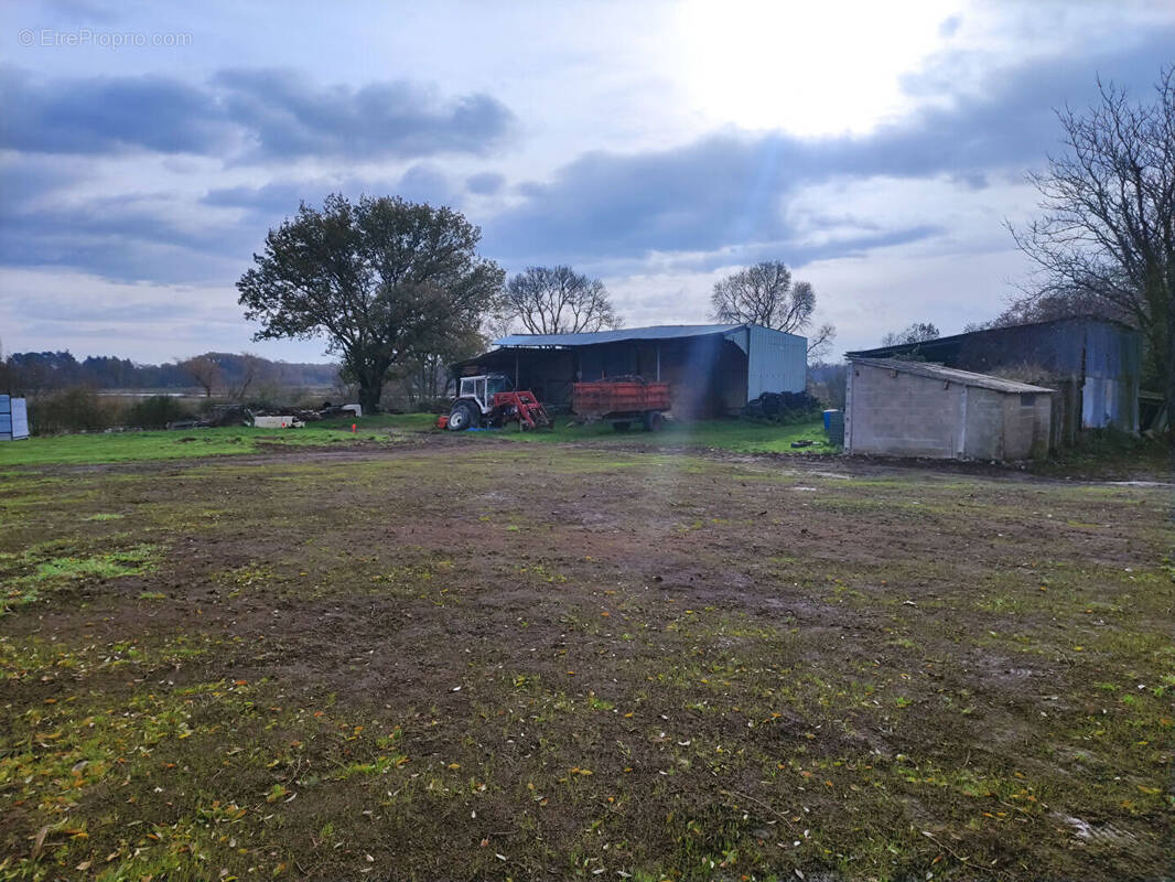 Terrain à PONTCHATEAU