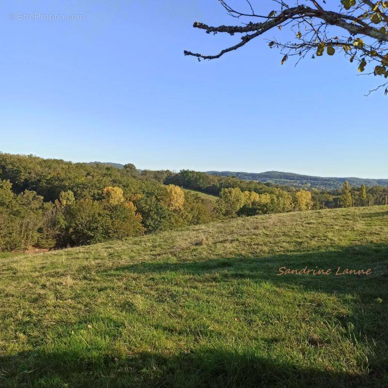Terrain à SAINT-PANTALEON-DE-LARCHE