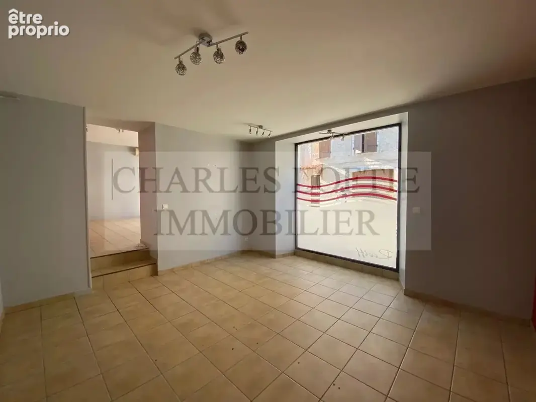 Ancienne maison bourgeoise en pierre de caractere entierement restauree en 3 appartements independants - photo 16