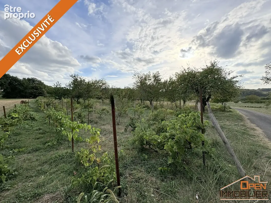 Terrain 4 028 m² à vendre à Jayac (24590) - photo 4