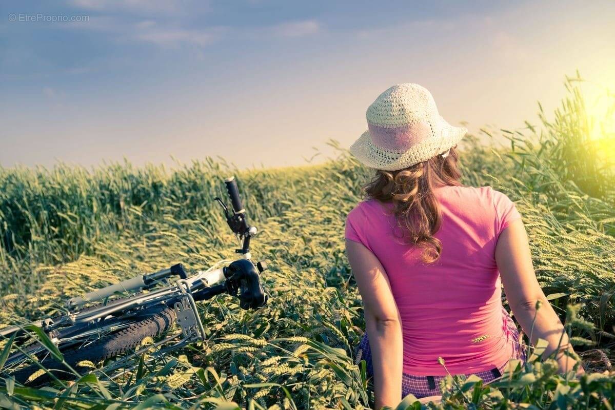 Terrain à SILLE-LE-PHILIPPE
