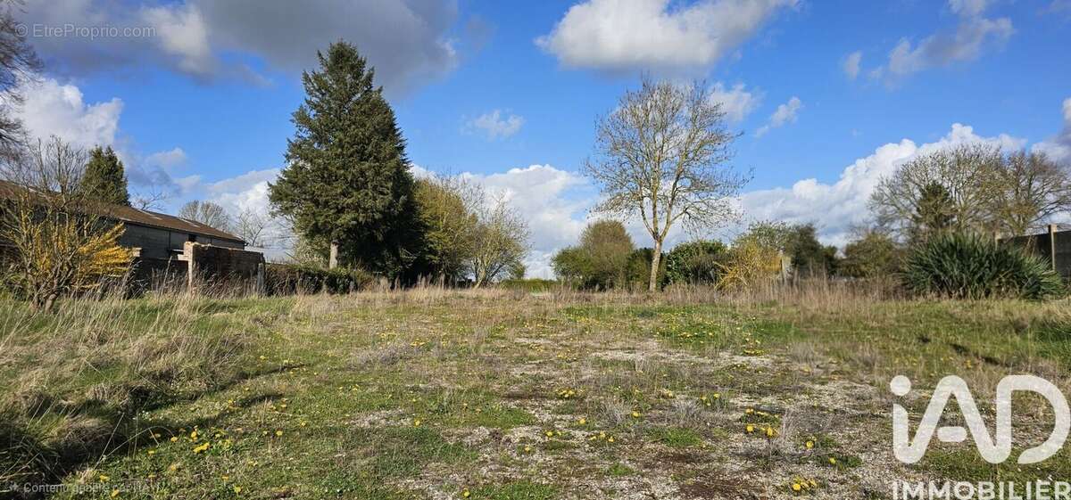 Photo 2 - Terrain à NEUVILLE-COPPEGUEULE