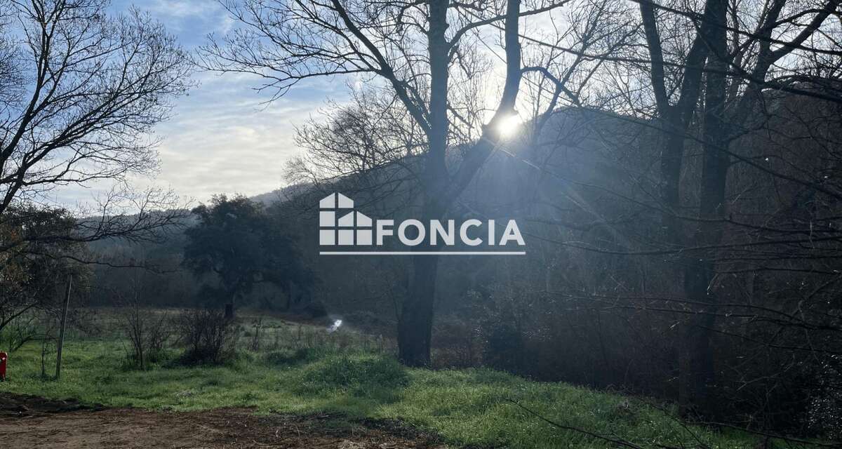 Terrain à COLLOBRIERES