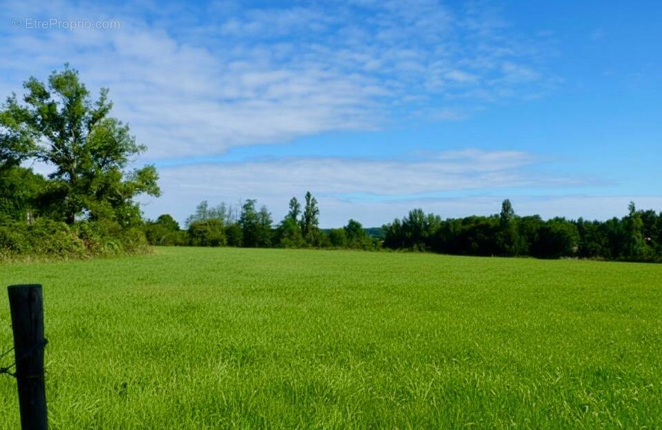 Terrain à SANGUINET