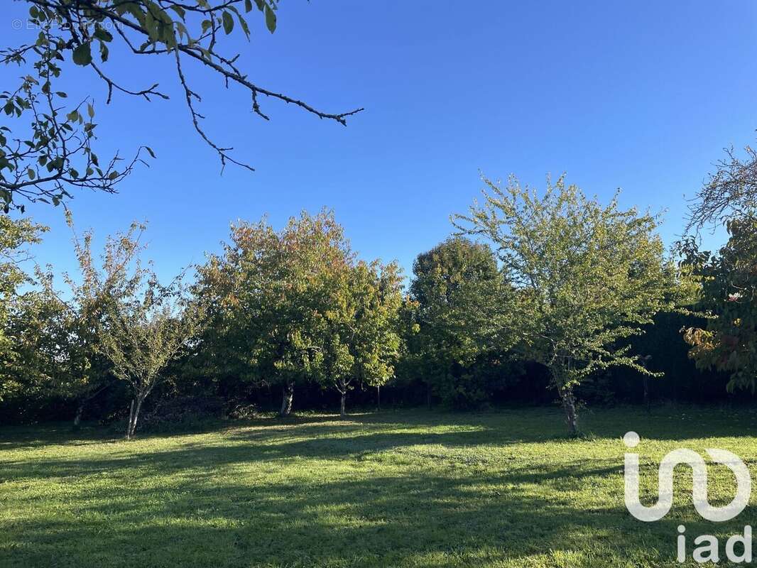 Photo 3 - Maison à BARBEZIEUX-SAINT-HILAIRE