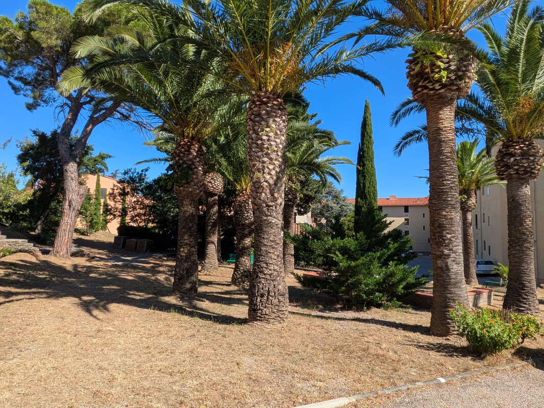Appartement à COLLIOURE