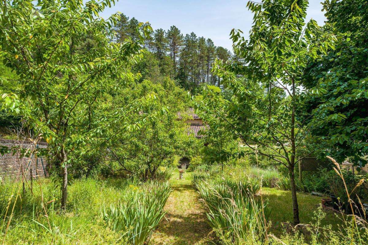 Maison à LE BUISSON-DE-CADOUIN