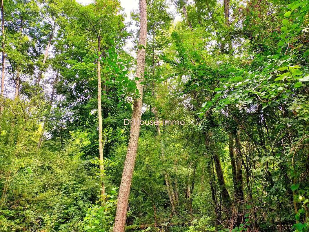 Terrain à SAINT-GEORGES-LES-BAILLARGEAUX