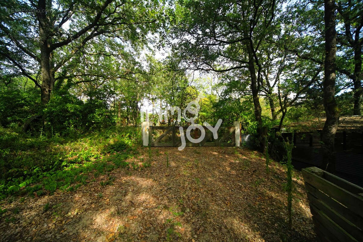 Caujac, environnement magnifique, petite maison de plain-pied au milieu de 3 hectares - photo 11