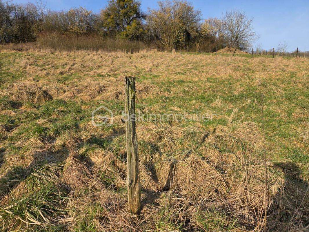 Terrain à ECOUVIEZ