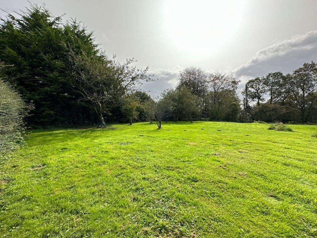 Terrain à SAINT-URBAIN