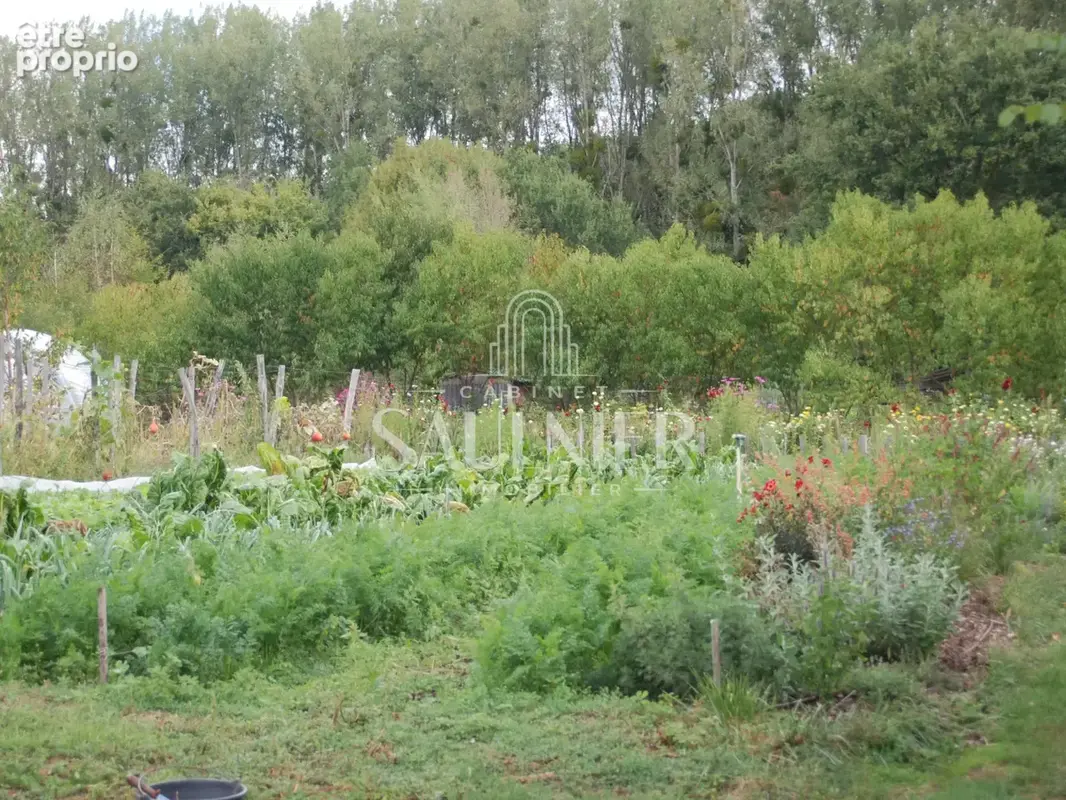 Entre Montrichard et Blois, petit domaine agricole. - photo 5