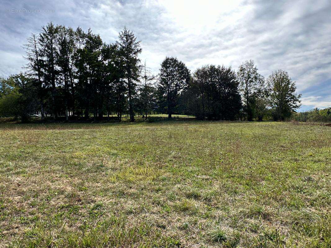 24800 saint jean de cole terrain a batir - photo 2