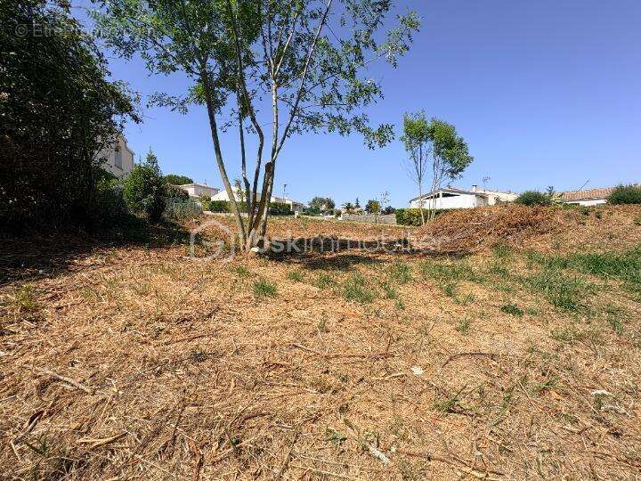 Rare a royan - terrain constructible viabilisé - 722 m² - photo 3