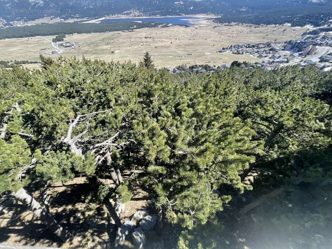 Terrain à LES ANGLES