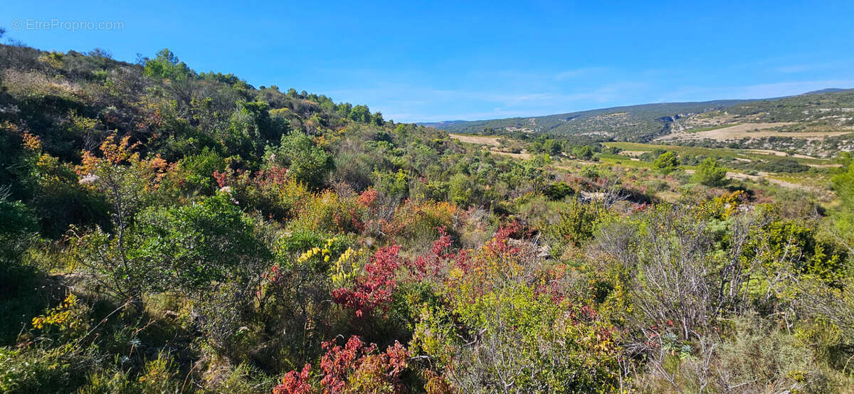 Terrain à LA CAUNETTE