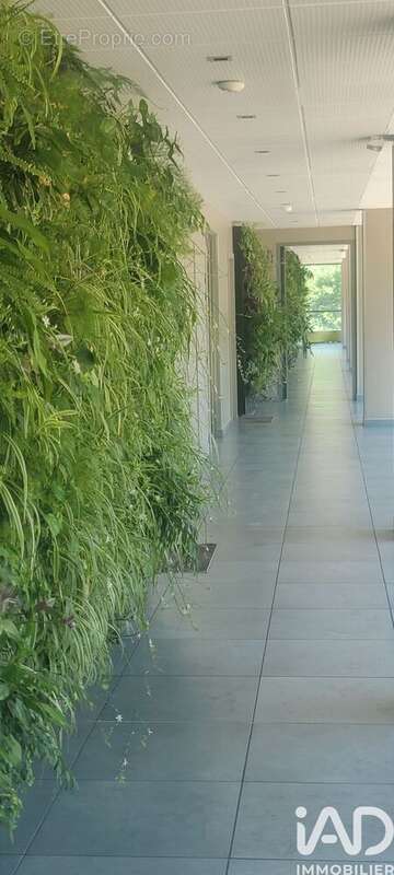 Photo 9 - Appartement à LYON-2E