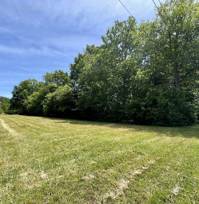 Terrain à SAINTE-MARIE-DE-CHIGNAC