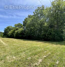 Terrain à SAINTE-MARIE-DE-CHIGNAC