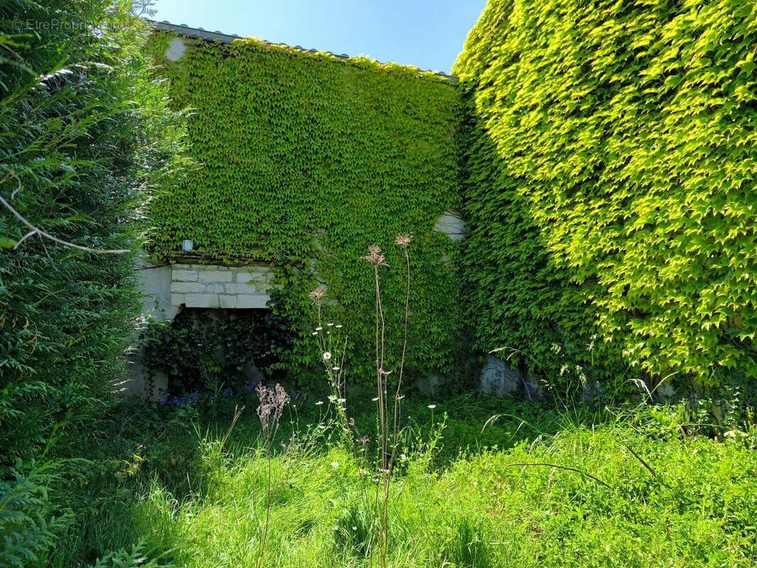 Maison à COUTURE-D&#039;ARGENSON