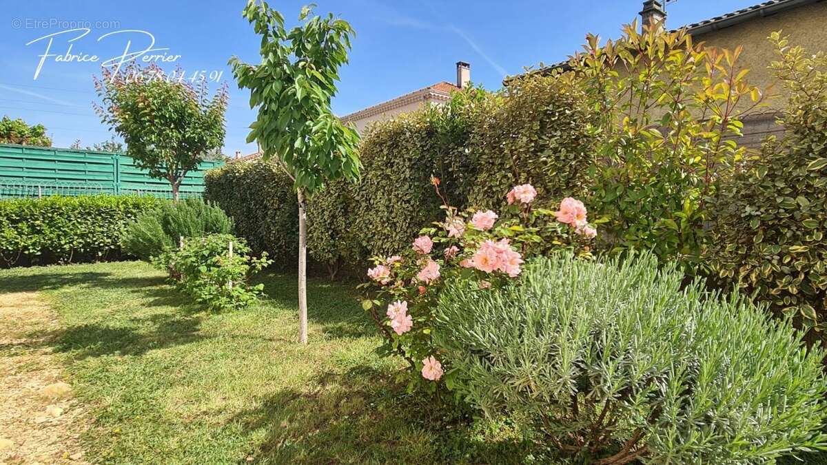 Maison à MONTELIMAR