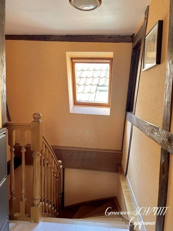 Dpt Haut-Rhin (68), à vendre ZELLENBERG immeuble 197 m² - photo 11