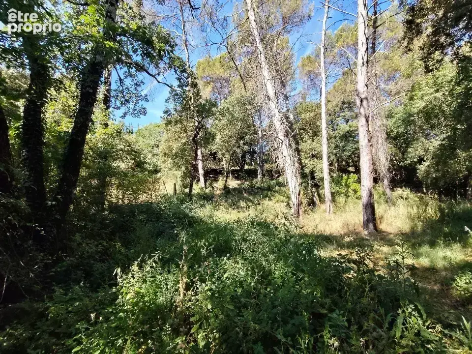 Terrain 1 880 m² à vendre à Lorgues (83510) - photo 1