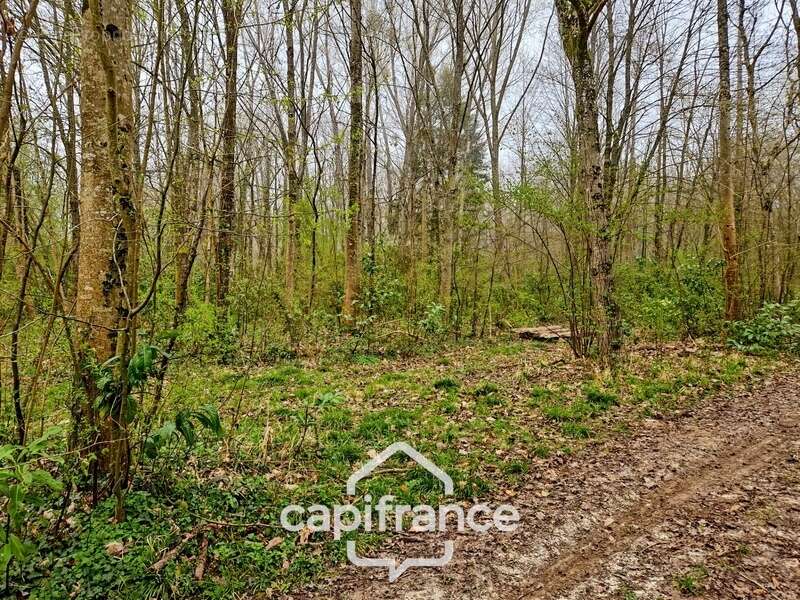 Terrain à LA FERTE-SOUS-JOUARRE