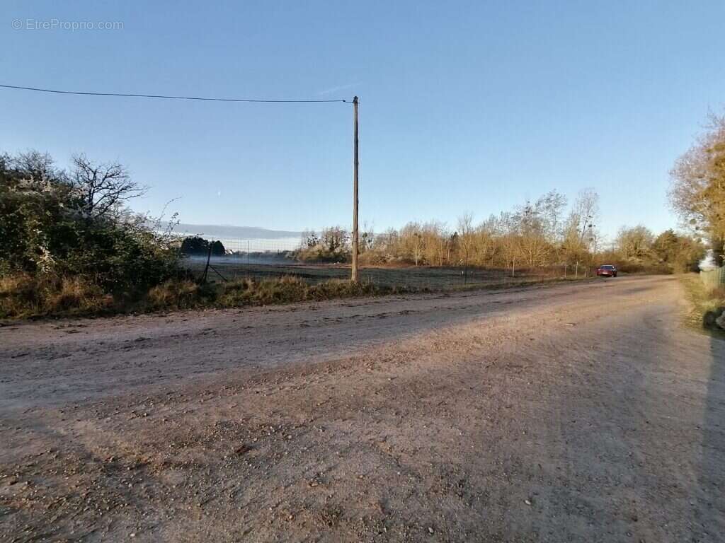 Terrain à SAINT-BENOIT-SUR-LOIRE